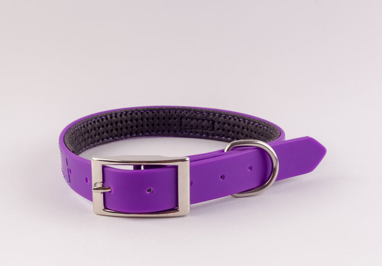 Collar Para Perro Sintetico Neop 1"