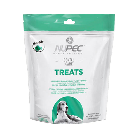 Nupec Dental Care
