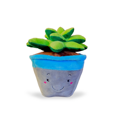 Peluche Suculenta - PetsPlaza