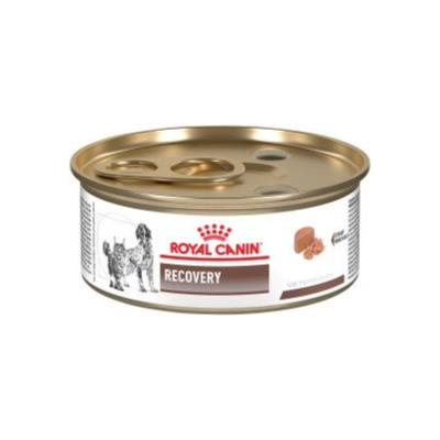 Royal Canin Dog Lata Recovery Wet 145Gr
