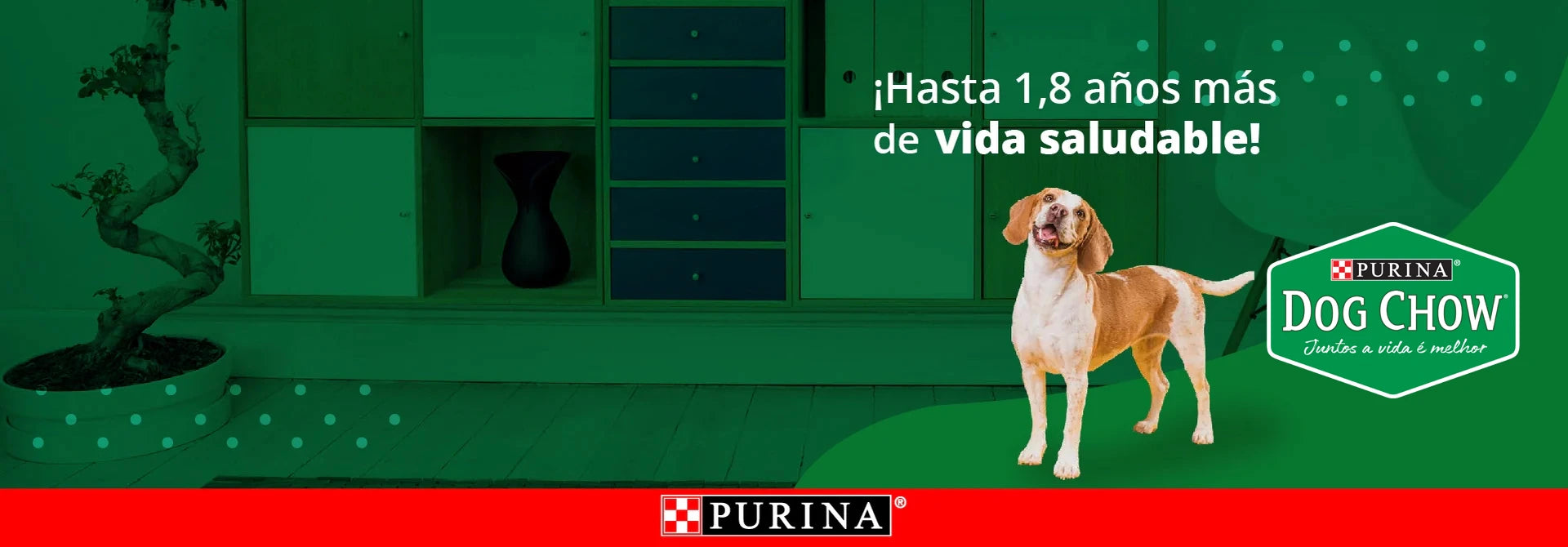 Juntos le damos una mejor calidad de vida a tu mascota