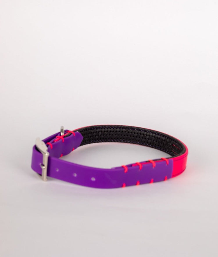 Al Torno Collar Para Perro Sintético Neop 3/4" - PetsPlaza