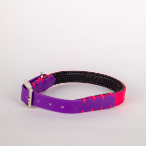 Al Torno Collar Para Perro Sintético Neop 3/4