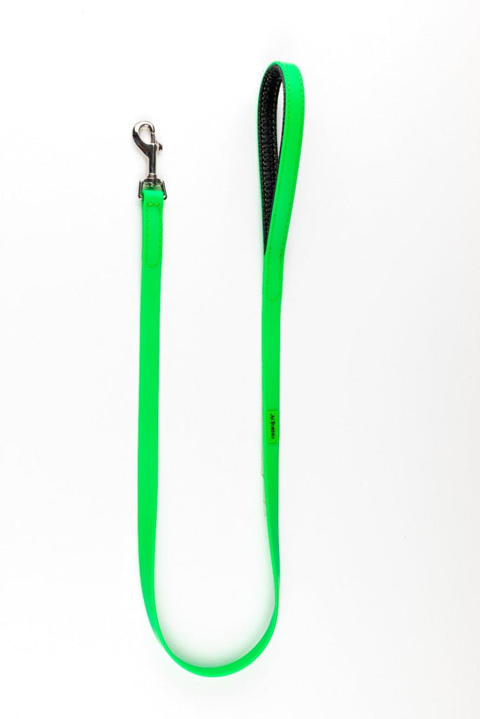 Al Torno Traílla Sintético Neop 3/4" - PetsPlaza