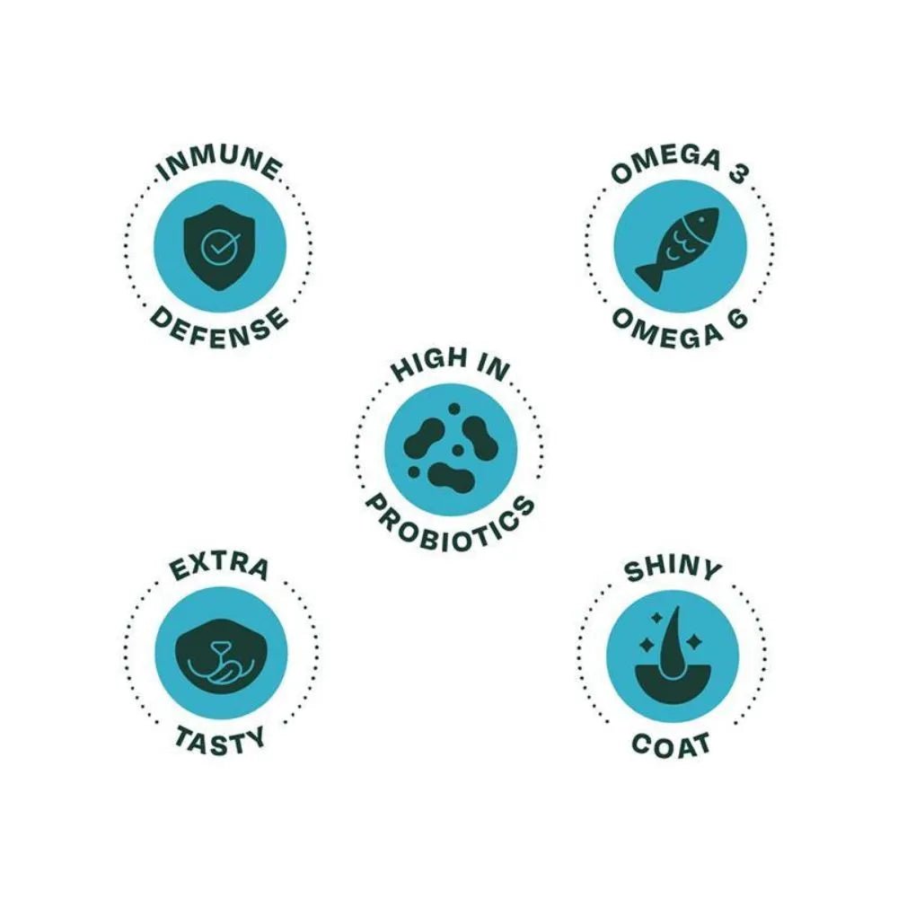 Bonnat Grain Free Gatitos - PetsPlaza