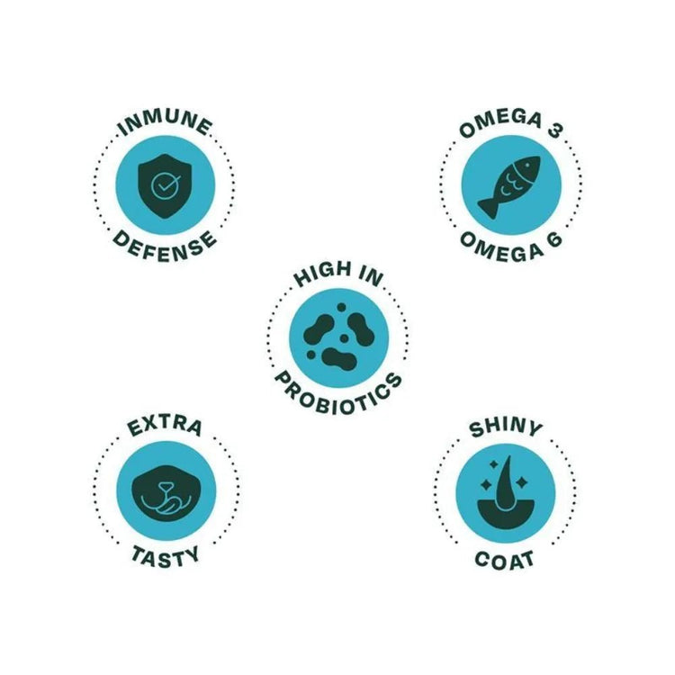 Bonnat Grain Free Gatitos - PetsPlaza