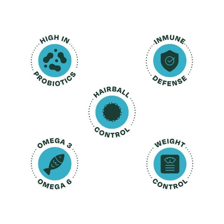 Bonnat Grain Free Gatos Adultos Esterilizados - PetsPlaza