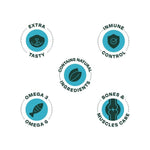 Bonnat Grain Free Perros Adultos Razas Medianas y Grandes - PetsPlaza