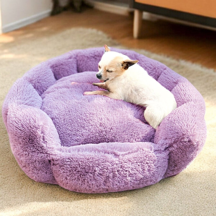 Cama Flor Grande para Mascotas - PetsPlaza