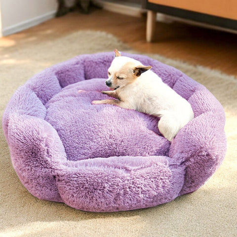 Cama Flor Grande para Mascotas - PetsPlaza