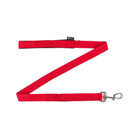 Correa Basic Felcan - PetsPlaza
