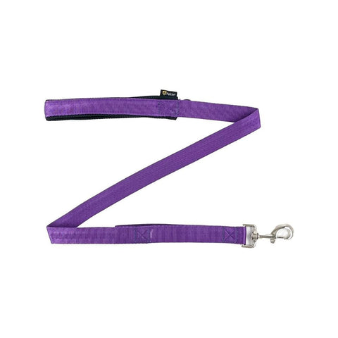Correa Basic Felcan - PetsPlaza