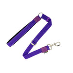 Correa Walker - PetsPlaza