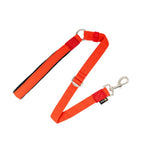 Correa Walker - PetsPlaza