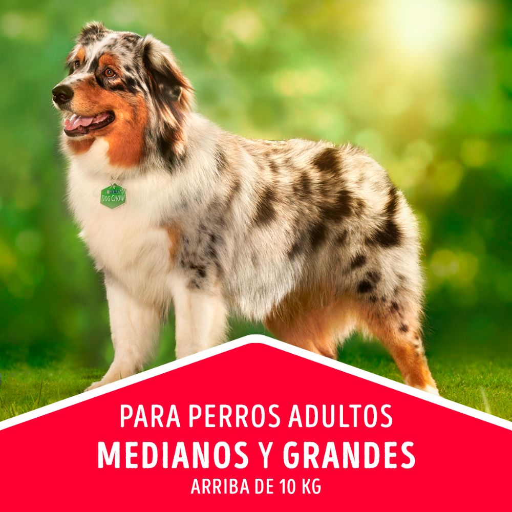 Dog Chow Adulto Medianos y Grandes - PetsPlaza