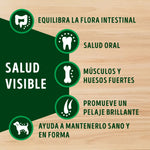 Dog Chow Adulto Medianos y Grandes - PetsPlaza