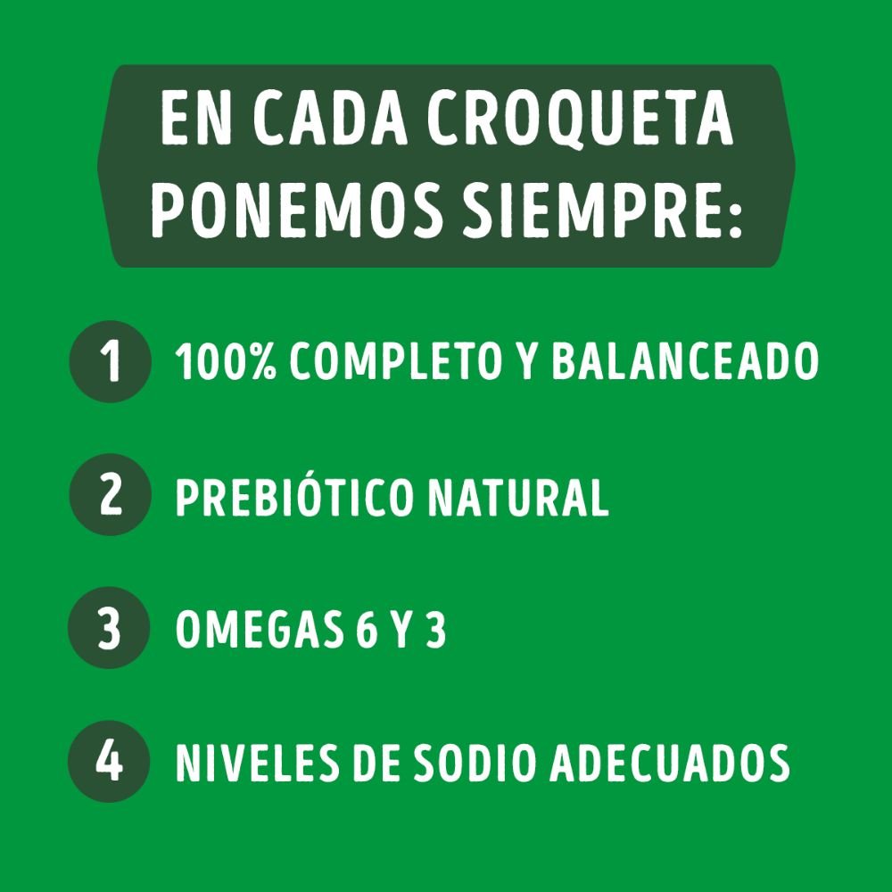 Dog Chow Adulto Medianos y Grandes - PetsPlaza