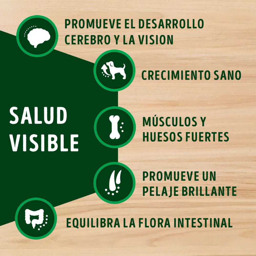 Dog Chow Adulto Minis y Pequeños - PetsPlaza