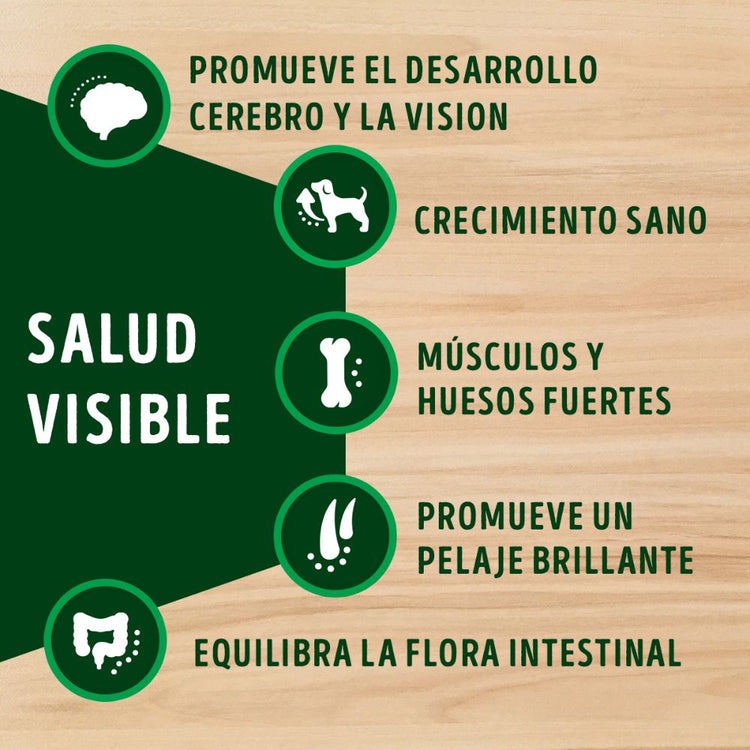 Dog Chow Adulto Minis y Pequeños - PetsPlaza