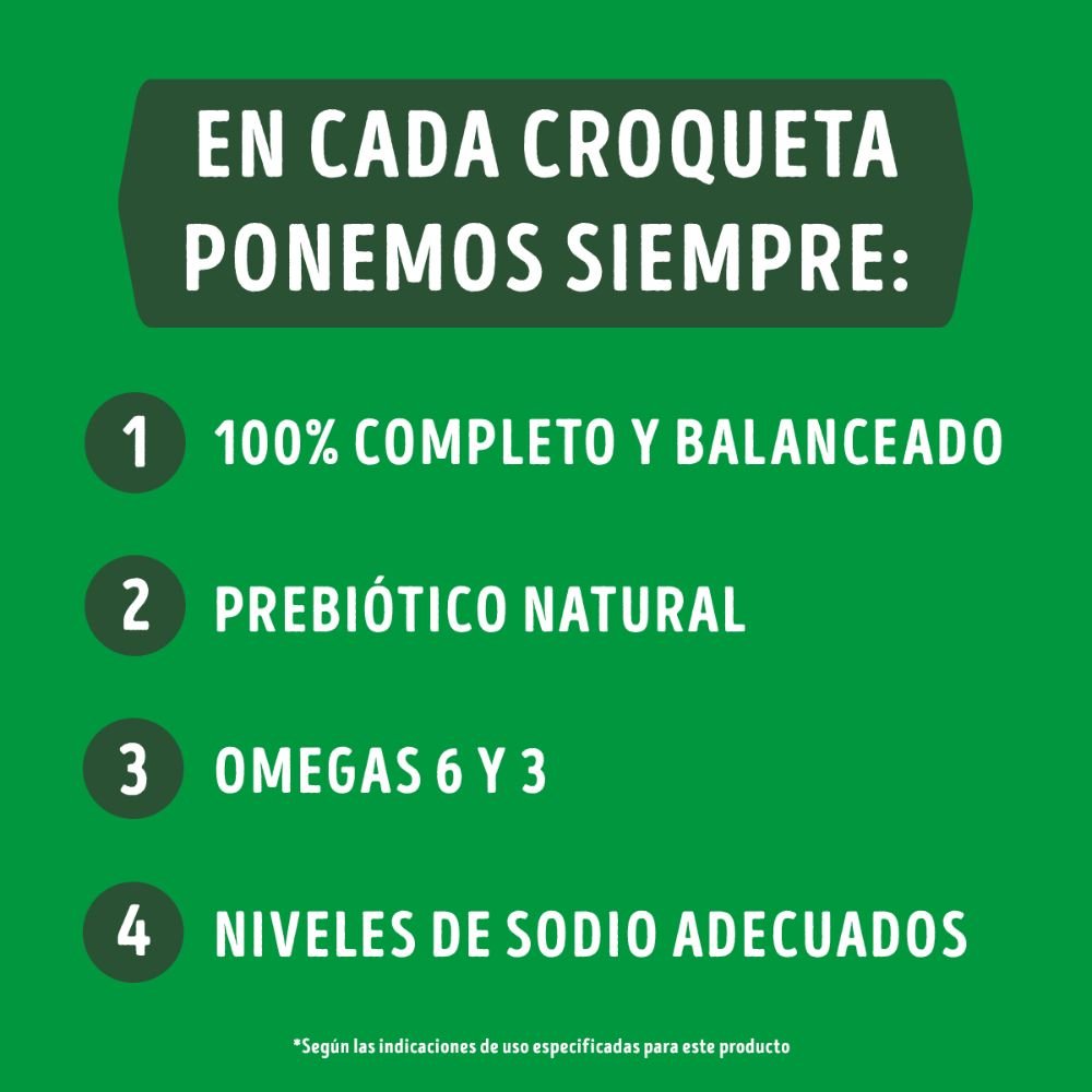 Dog Chow Adulto Minis y Pequeños - PetsPlaza