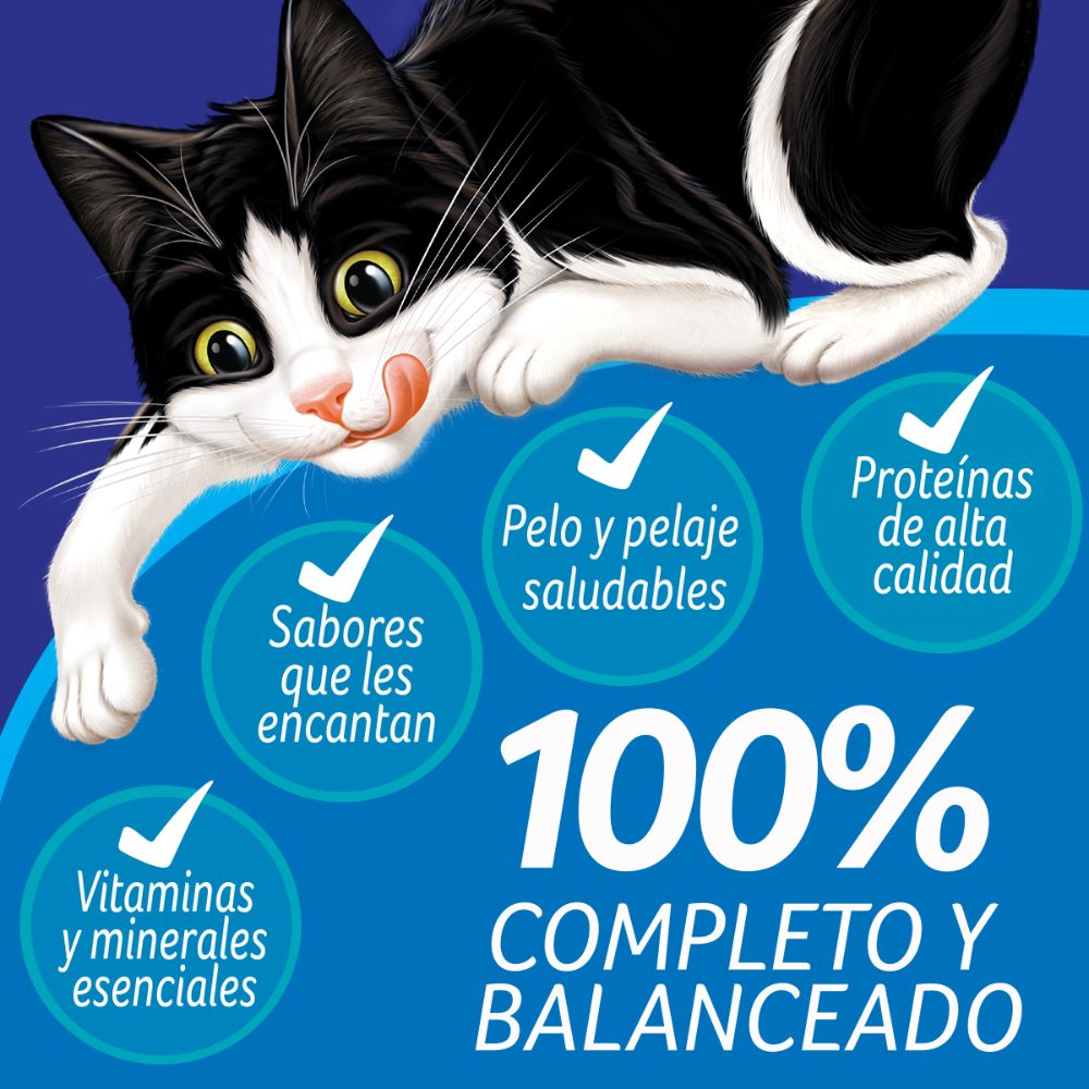 Felix Megamix Gatitos - PetsPlaza