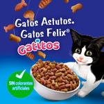 Felix Megamix Gatitos - PetsPlaza