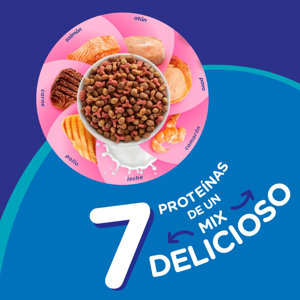 Felix Megamix Gatitos - PetsPlaza