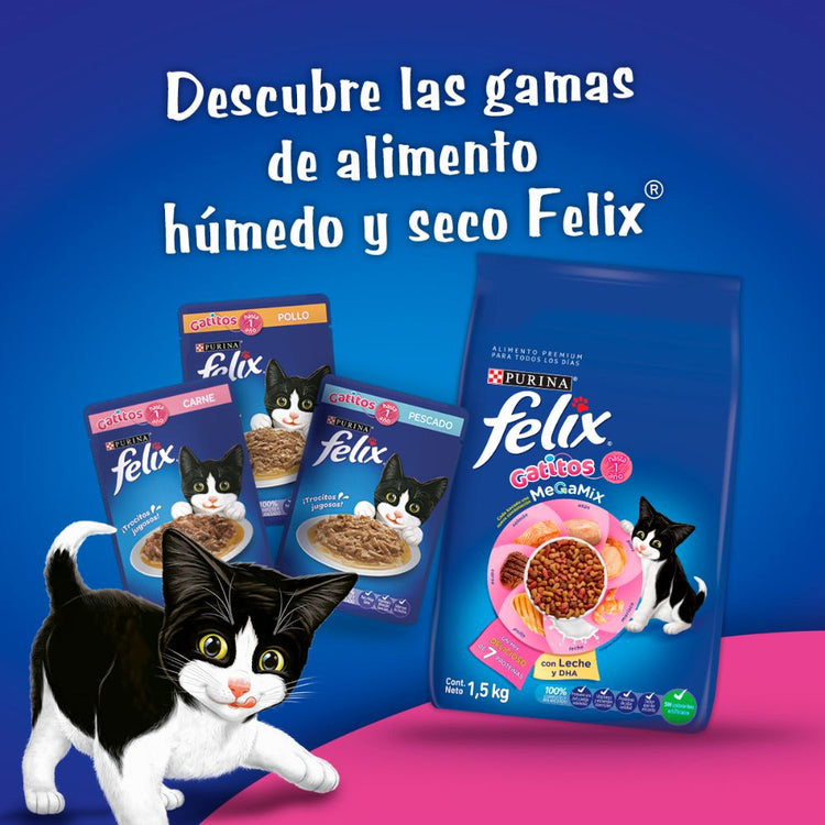 Felix Megamix Gatitos - PetsPlaza