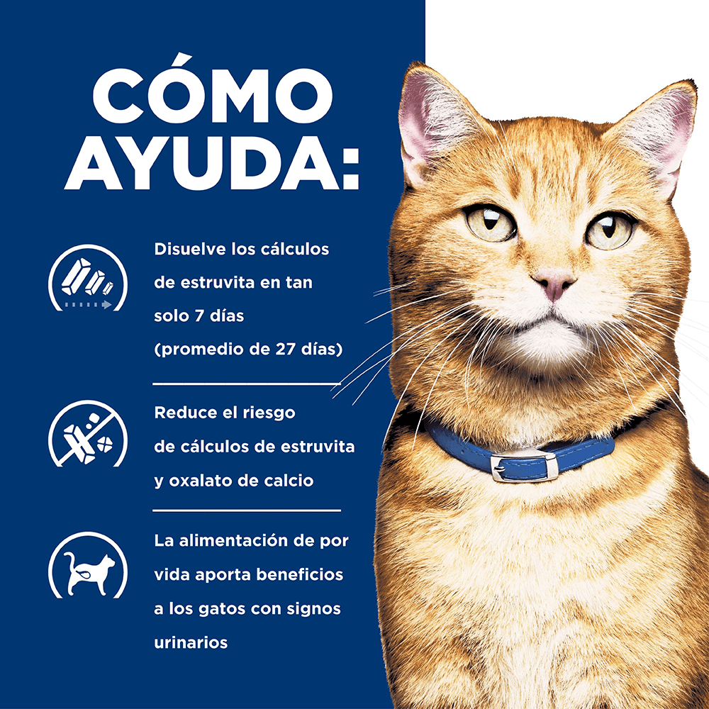 Hill's Prescription Diet c/d Gatos - PetsPlaza