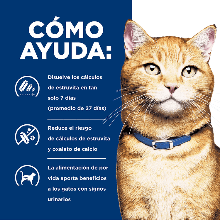 Hill's Prescription Diet c/d Gatos - PetsPlaza