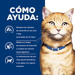 Hill's Prescription Diet c/d Gatos - PetsPlaza
