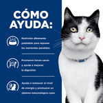 Hill's Prescription Diet i/d Gatos - PetsPlaza
