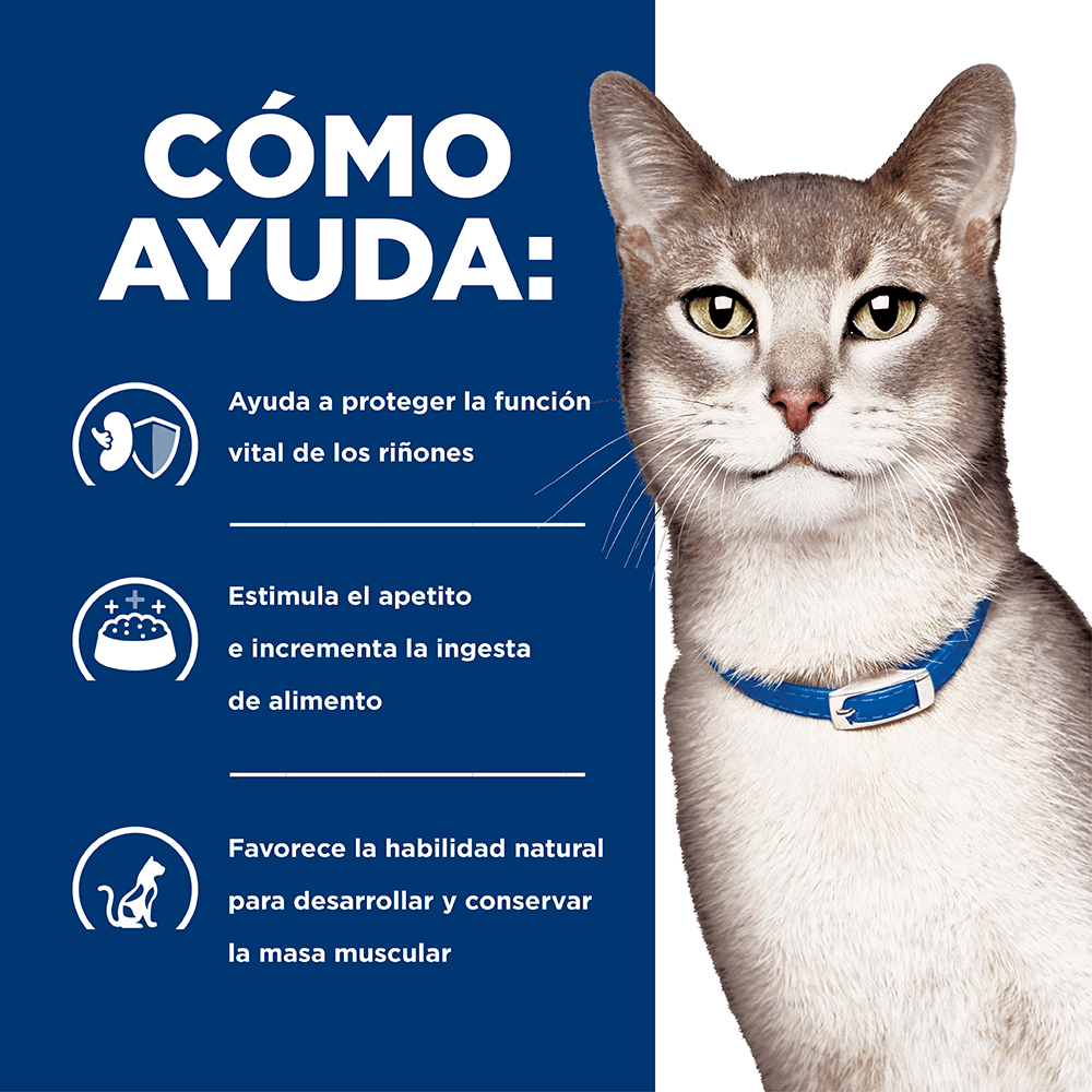 Hill's Prescription Diet k/d Gatos - PetsPlaza