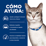 Hill's Prescription Diet k/d Gatos - PetsPlaza