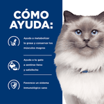 Hill's Prescription Diet r/d Gatos - PetsPlaza