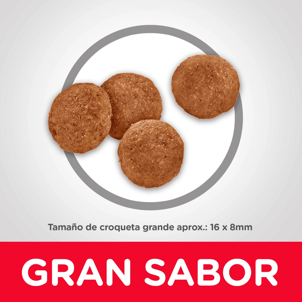 Hill's Science Diet Adult Large Breed - PetsPlaza