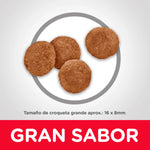 Hill's Science Diet Adult Large Breed - PetsPlaza