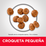 Hill's Science Diet Adult Small & Mini Perros - PetsPlaza