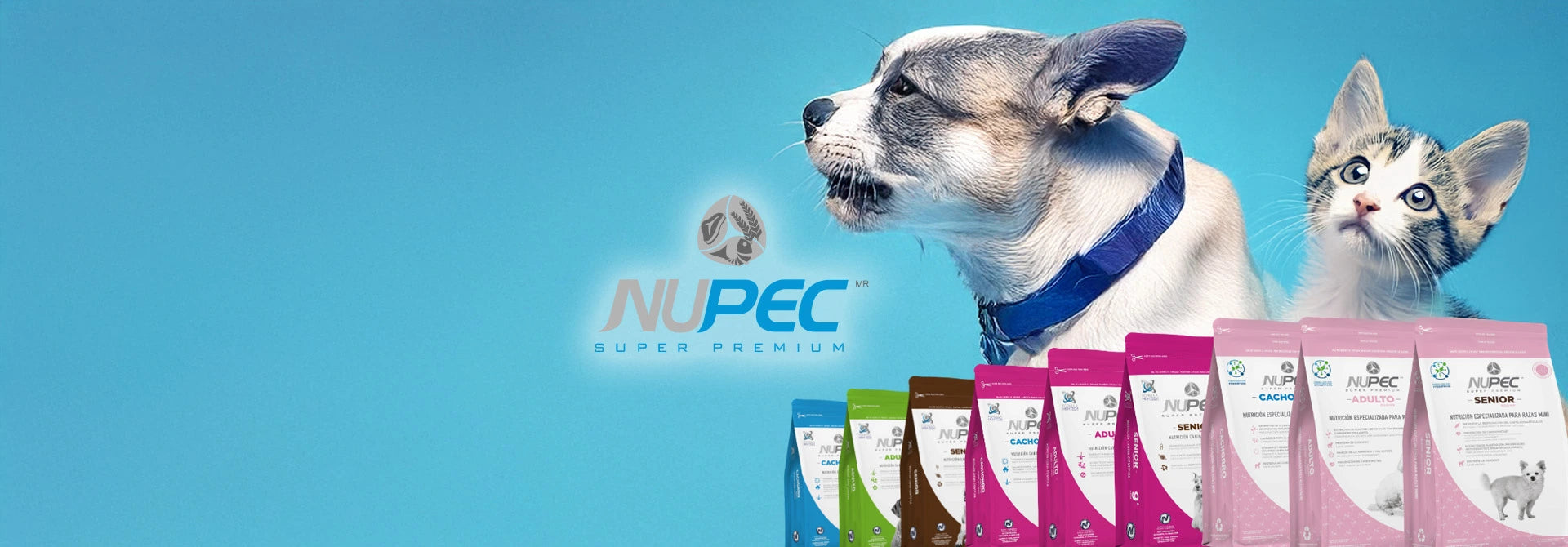 ¡Marca Favorita del Mes!