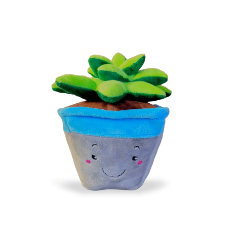 Peluche Suculenta - PetsPlaza