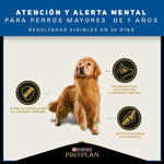 Pro Plan Active Mind Razas Medianas y Grandes - PetsPlaza