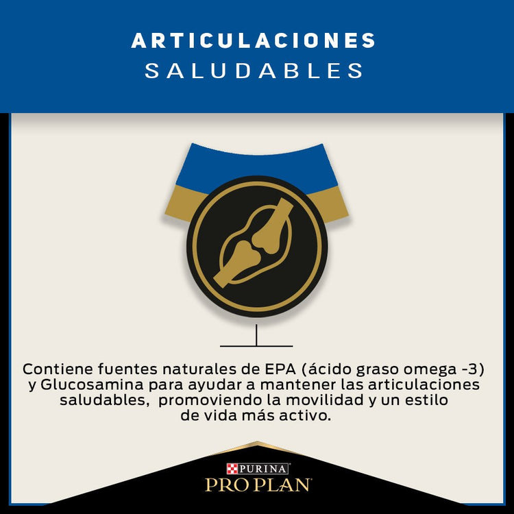 Pro Plan Active Mind Razas Medianas y Grandes - PetsPlaza
