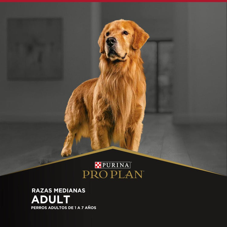 Pro Plan Adulto Razas Medianas - PetsPlaza