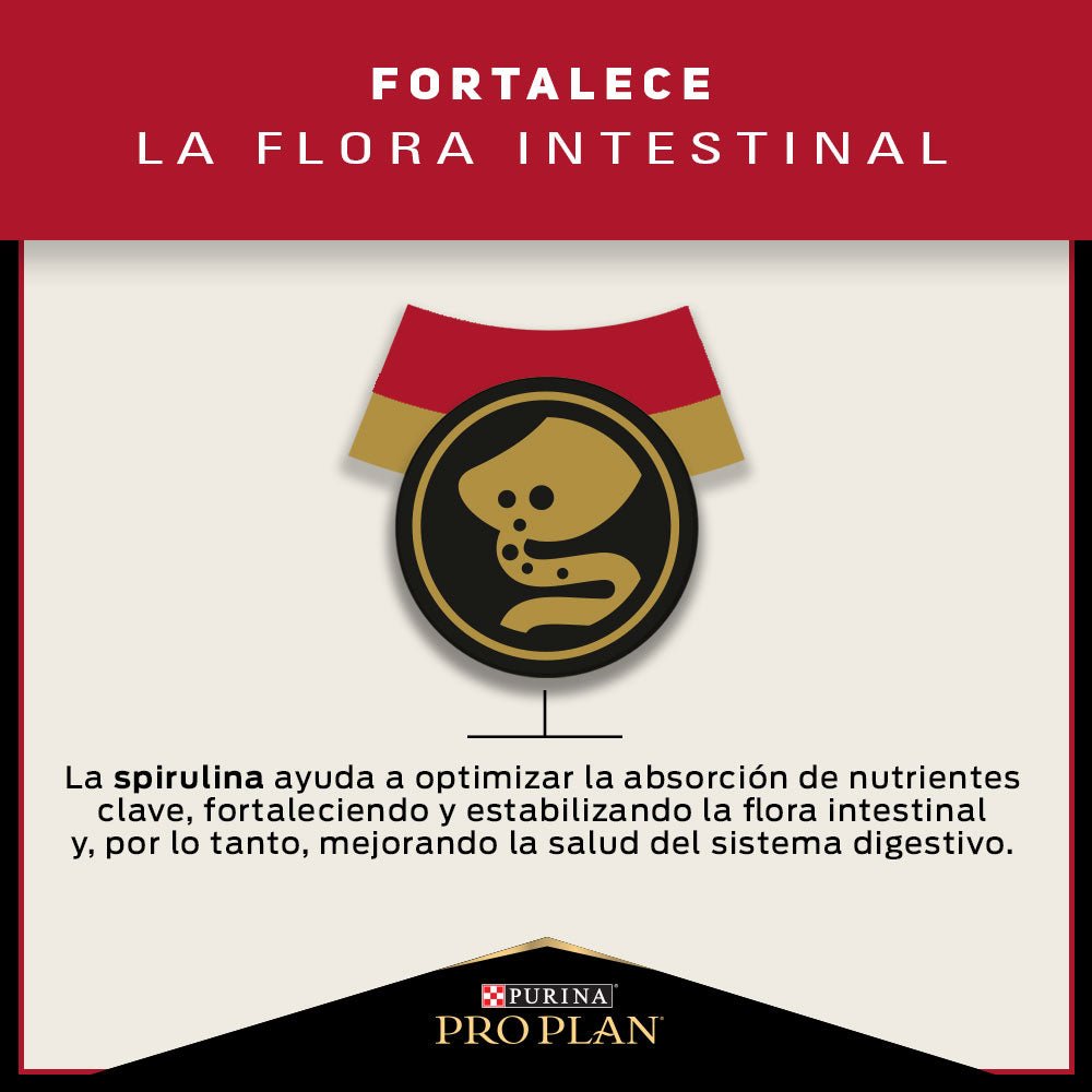 Pro Plan Adulto Razas Medianas - PetsPlaza