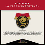 Pro Plan Adulto Razas Medianas - PetsPlaza