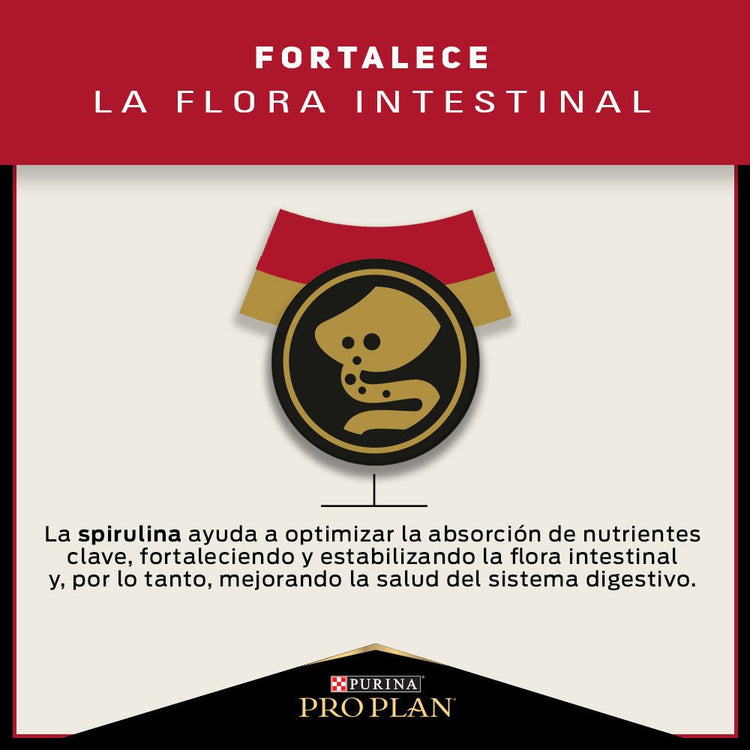 Pro Plan Adulto Razas Medianas - PetsPlaza