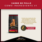 Pro Plan Adulto Razas Medianas - PetsPlaza
