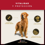 Pro Plan Adulto Razas Medianas - PetsPlaza