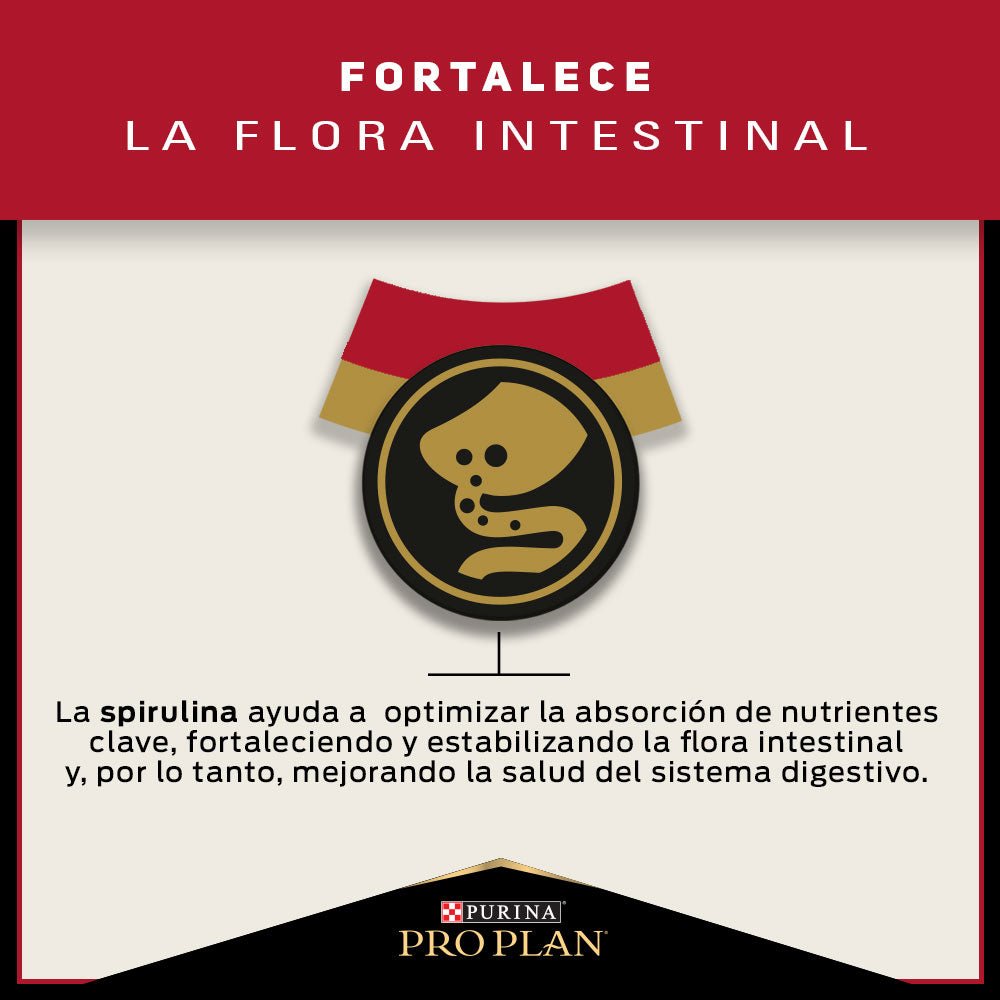 Pro Plan Adulto Razas Pequeñas - PetsPlaza