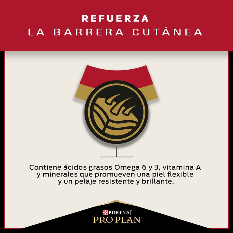 Pro Plan Adulto Razas Pequeñas - PetsPlaza
